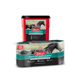 Purina Amplify High-Fat Supplement for Horses