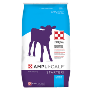 Purina AMPLI-CALF Starter 22 Purina AMPLI-CALF Starter 22. Blue, white, and black feed bag.