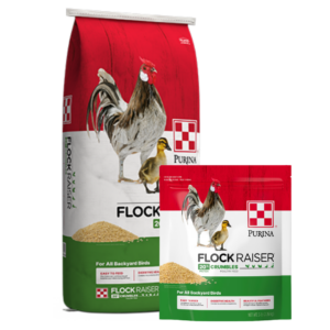 Purina Flock Raiser Premium Poultry Feed Crumbles Purina Flock Raiser Crumbles
