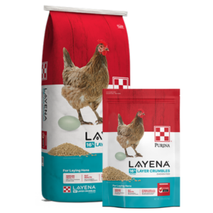 Purina Layena Crumbles. Size combo shown.