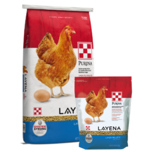 Layena Premium Poultry Pellets