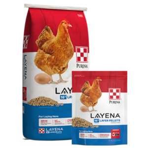 Layena Premium Poultry Pellets
