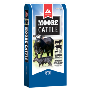 Moore Cattle 3:1 Range Meal 50-lb 3:1 Range Meal. Thomas Moore Cattle Feeds. Blue 50-lb feed bag.