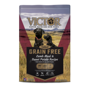 Victor Grain Free Lamb Meal & Sweet Potato Recipe Dry Dog Food