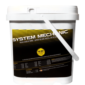 Lindner System Mechanic Supplement Lindner System Mechanic. 5-lb white pail.
