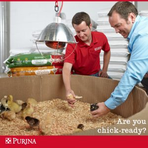 chick days at Crockett Farm & Fuel