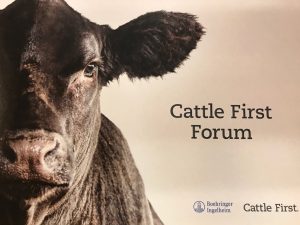 Cattle First Forum
