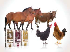 Purina True Choice