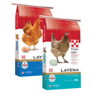 Purina Layena Crumbles and Pellets. Two poultry feed bags.