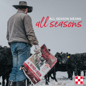 All Season Minerals