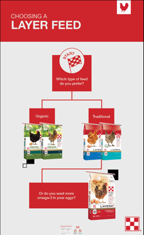 chicken layer feed graphic