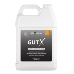 100X Equine Gut X. 1 gallon container.