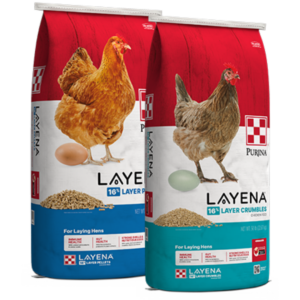 Purina Layena Crumbles and Pellets. Two poultry feed bags.